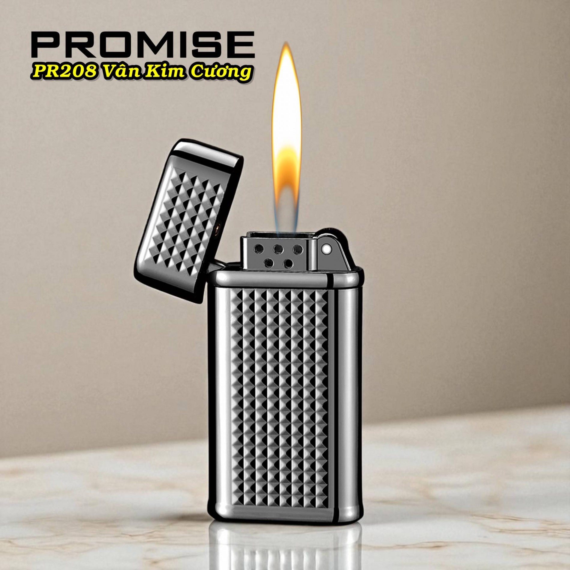 promise_208_6