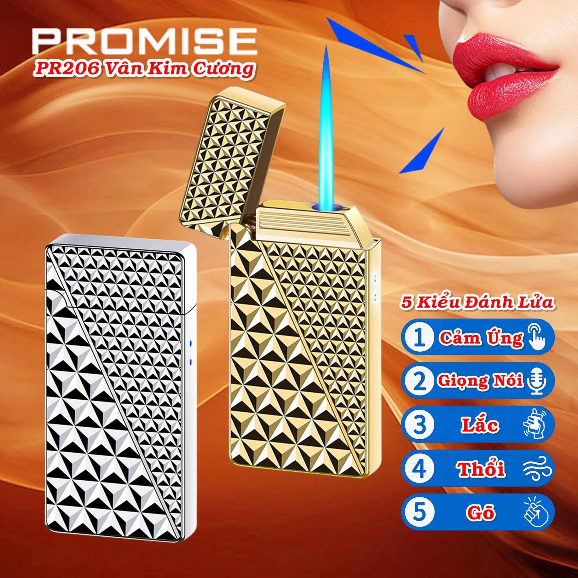 promise_pr206_1