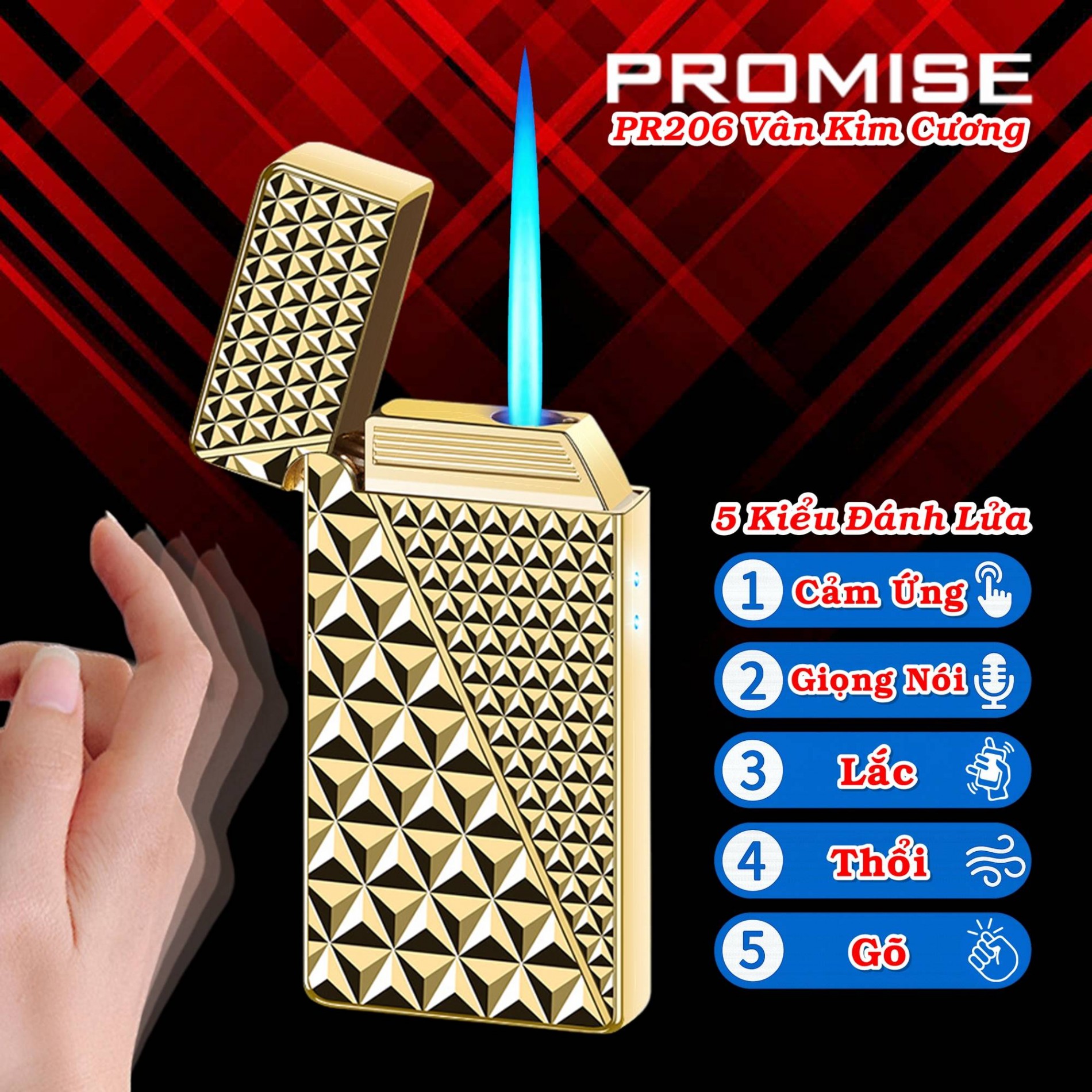 promise_pr206_3